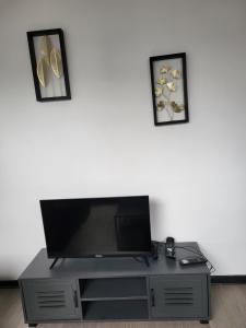 Et tv og/eller underholdning på APPARTEMENT DE GUISE 10 + 2 billeder