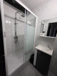 Et badeværelse på APPARTEMENT DE GUISE 10