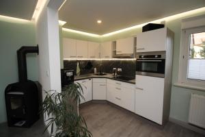 Η κουζίνα ή μικρή κουζίνα στο Ferienwohnung Benkertshof