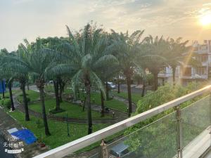 ホーチミン・シティにあるLucky hotelのバルコニーからヤシの木が茂る公園の景色を望めます。