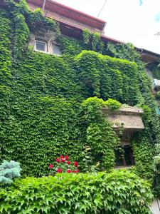 Taman di luar Studio Villa Floreasca