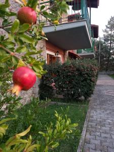Vonkajšia záhrada v ubytovaní Kastalia Country Home