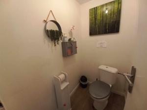 a bathroom with a toilet and a mirror at L'Appart Sud Vendée in Saint-Hilaire-des-Loges