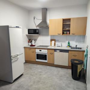 a kitchen with wooden cabinets and a white refrigerator at Lucky Hostel in Luckenwalde