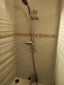 a shower with a shower head in a bathroom at studio 24M, cool les Orres 1650 in Les Orres