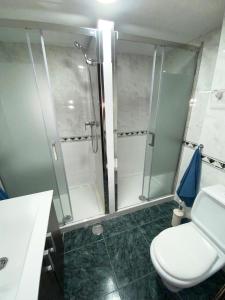 uma casa de banho com um chuveiro, um WC e um lavatório. em Apartamento Deborah em Málaga
