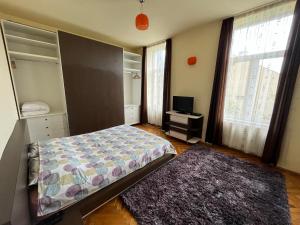 ブラショヴにあるSchei Apartment 2のベッドルーム(ベッド1台、テレビ、窓付)