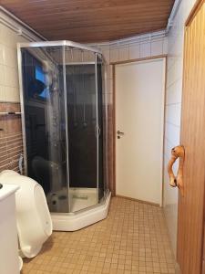 Koupelna v ubytování 6 rooms with sauna and fireplace