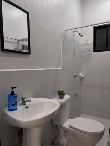 ein Badezimmer mit einem Waschbecken, einem WC und einem Spiegel in der Unterkunft Casa Via: Cozy 3 Bedroom Home in Bacolod with Parking in Bacolod City
