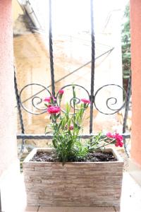 a wooden planter with pink flowers in a window at Top Center Vintage Sofia Condo in Sofia