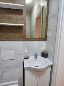 a bathroom with a sink and a mirror at Apartman Meggy in Belgrade
