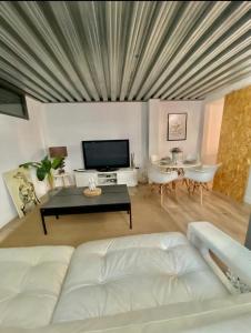 A television and/or entertainment centre at Loft Alameda en Sevilla