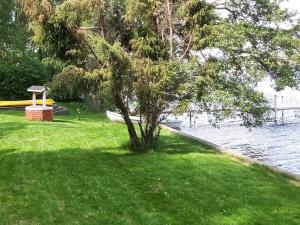 a tree in the grass next to a body of water at Holiday Home Lomaranta by Interhome in Paksalo