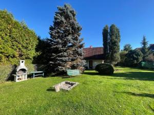 a yard with a tree and a grill in the grass at Holiday Home Zhorska by Interhome in Planá nad Lužnicí