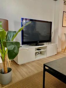 A television and/or entertainment centre at Loft Alameda en Sevilla
