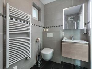 a bathroom with a toilet and a sink and a mirror at Apartment Terrassentraum alpe maritima Ski&See-15 by Interhome in Annenheim