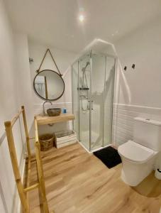 La salle de bains est pourvue d'une douche, de toilettes et d'un miroir. dans l'établissement Loft Alameda en Sevilla, à Séville