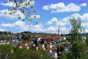 a town with houses and a church on a hill at Ferienwohnung Uns Uwe in Freyung