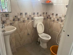 a bathroom with a toilet and a sink at Luxury Queen Bed Suite 6km to Palace with Farm Land and Hill View in Mysore