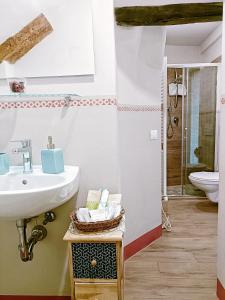 een badkamer met een wastafel en een toilet bij Casa rustica tra mare e collina in Morciano di Romagna