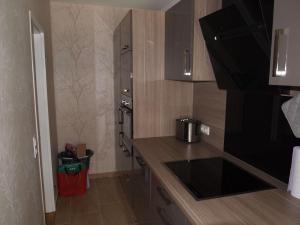 eine Küche mit einer Spüle und einer Arbeitsplatte in der Unterkunft Ferienwohnung AltesSalzwerk in Bad Harzburg