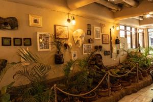 Fotografie z fotogalerie ubytování Forest Cottages v destinaci Kampala