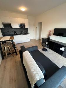 Cosy Apartment in the Hague! في لاهاي: غرفة معيشة مع أريكة وطاولة ومطبخ