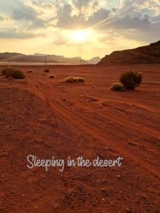 un camino de tierra en el desierto con las palabras durmiendo en el desierto en Bedouin experiences, en Áqaba