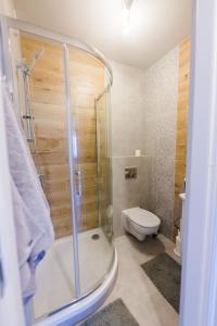 ein Bad mit einer Dusche und einem WC in der Unterkunft Apartamenty u Ewy in Bodzentyn