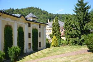 an exterior view of a house with a yard at Angel's Apartment in Karlovy Vary