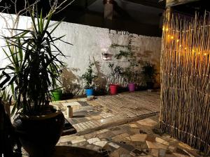 Garður fyrir utan Haven Hideaway - Biet Moussa - بيت موسي