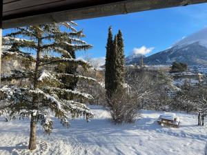 a snow covered yard with a tree and a house at La montagnette in Embrun