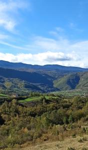 uma vista para um vale com montanhas à distância em Vila Brdjanka em Šipovo