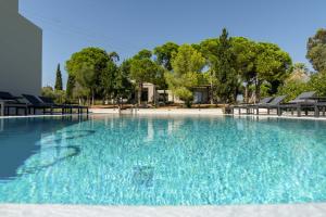 a large swimming pool with blue water at Alekos Beach Houses-Akrotiri Suites in Kounopetra