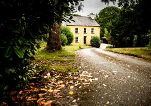 a house on a road with leaves on the ground at Panteg - a gorgeous retreat near the coast for 10 in Cardigan