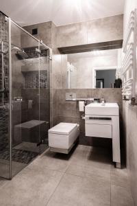 a bathroom with a shower and a toilet and a sink at Apartament przy bulwarach w Straconce in Bielsko-Biala