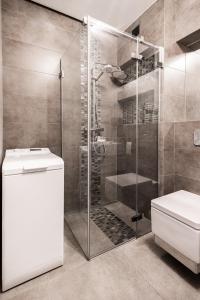 a bathroom with a shower and a toilet at Apartament przy bulwarach w Straconce in Bielsko-Biała