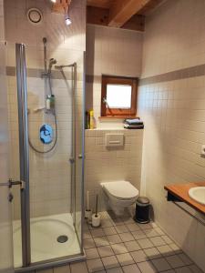 a bathroom with a shower and a toilet and a sink at Ferienhaus Haslberger in Waging am See