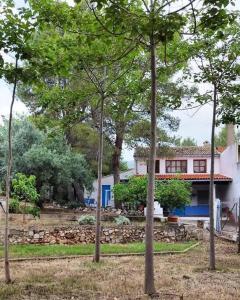 un grupo de árboles frente a una casa en La Caseta de Rotova - Casa Rural para desconectar, en Ròtova