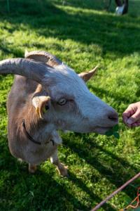 Φωτογραφία από το άλμπουμ του Ferienhaus Helga σε Absberg