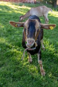 Φωτογραφία από το άλμπουμ του Ferienhaus Helga σε Absberg