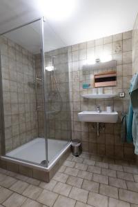 a bathroom with a shower and a sink at Ferienhaus Helga in Absberg