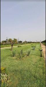 En have udenfor Lovely apartment at Ola Blanca 2 with WiFi