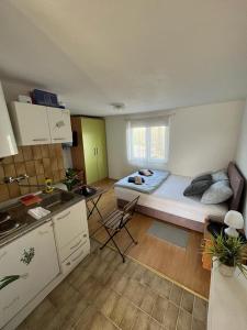 a small room with a bed and a kitchen at Budget Friendly in Požega