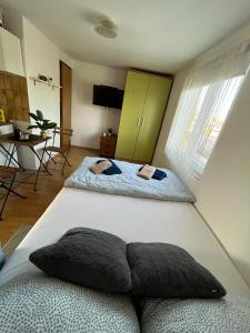 two beds in a room with a living room at Budget Friendly in Požega