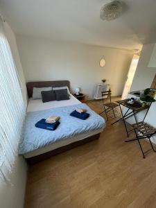 a bedroom with a bed with blue sheets and a desk at Budget Friendly in Požega