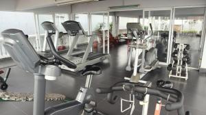 Fitness centrum a/nebo fitness zařízení v ubytování E&V Apartment