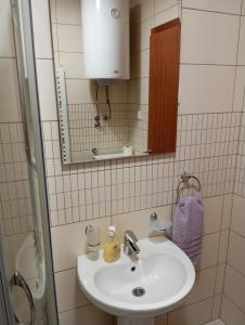 Apartman Radmanovac في Vrnjačka Banja: حمام مع حوض ومرآة