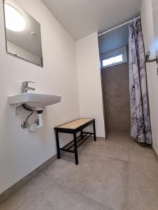 a bathroom with a sink and a shower at Slottets Anneks in Rønne