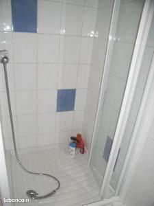 y baño con ducha. en Bouvacôte La Forcenée, en Le Tholy